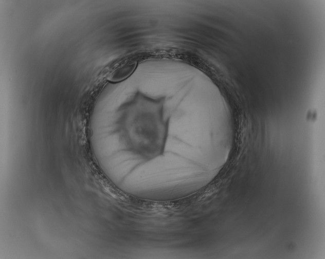 X0000111231013200907231459