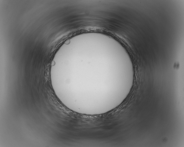 X0000111231015200907231459