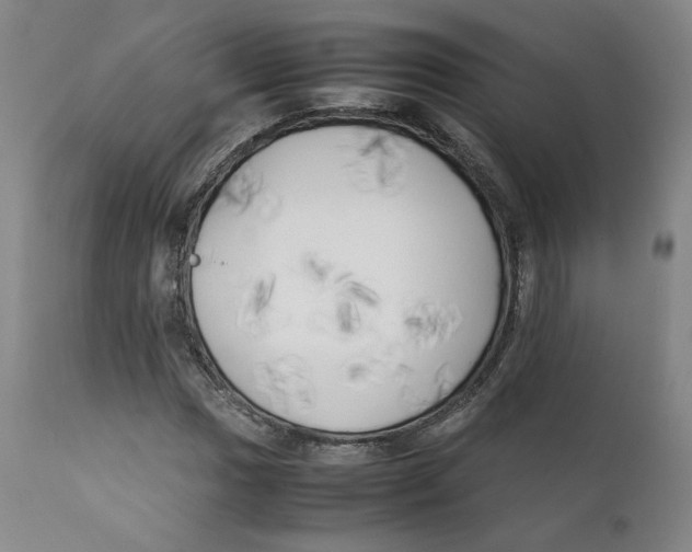 X0000111231017200907231459