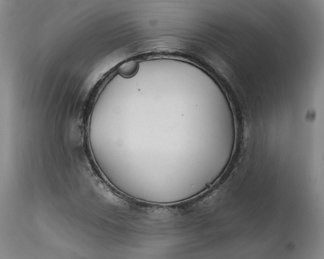 X0000111231018200907231459