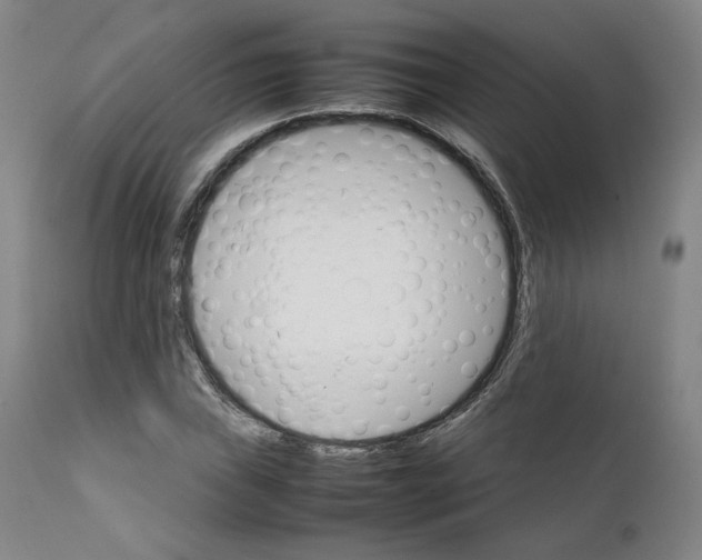 X0000111231019200907231459