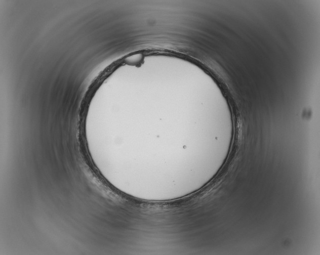 X0000111231020200907231459