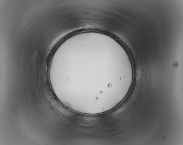 X0000111231021200907231459