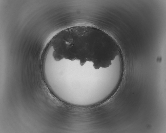 X0000111231022200907231459