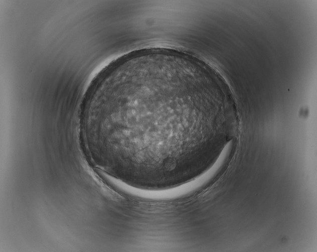 X0000111231024200907231459