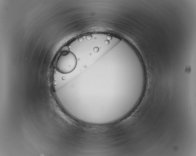 X0000111231026200907231459