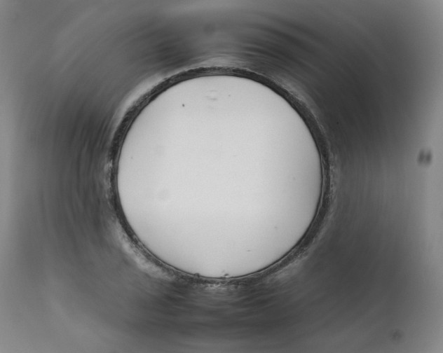 X0000111231029200907231459