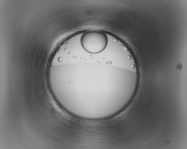 X0000111231030200907231459