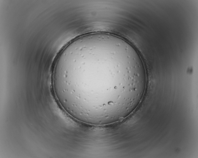 X0000111231034200907231459