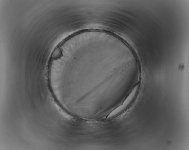 X0000111231037200907231459