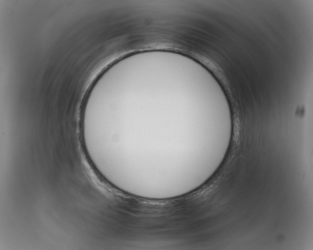 X0000111231039200907231459