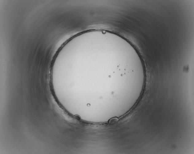 X0000111231040200907231459