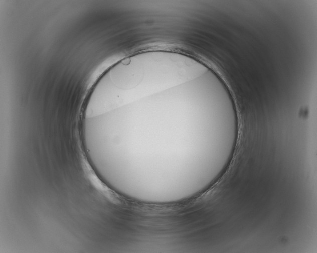 X0000111231042200907231500