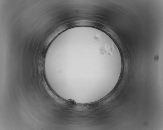 X0000111231049200907231500