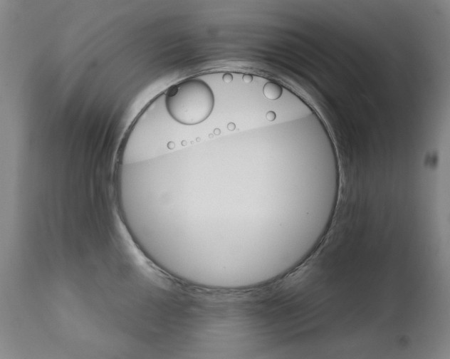 X0000111231050200907231500