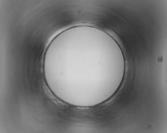 X0000111231052200907231500