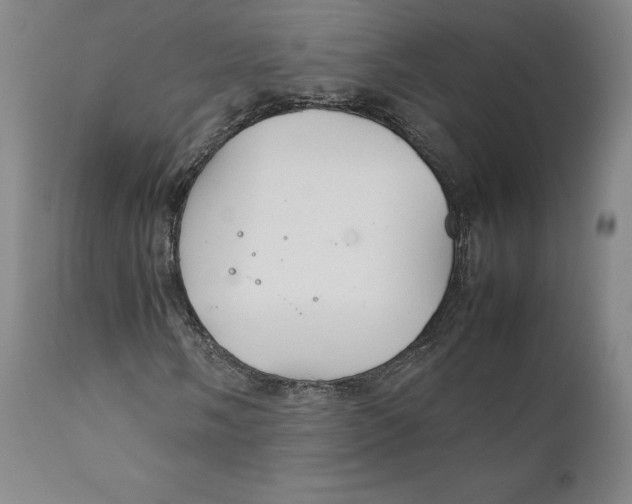 X0000111231058200907231459