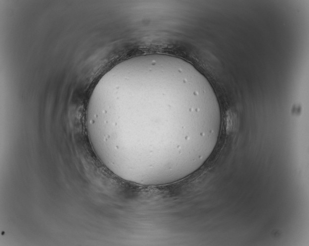 X0000111231059200907231459