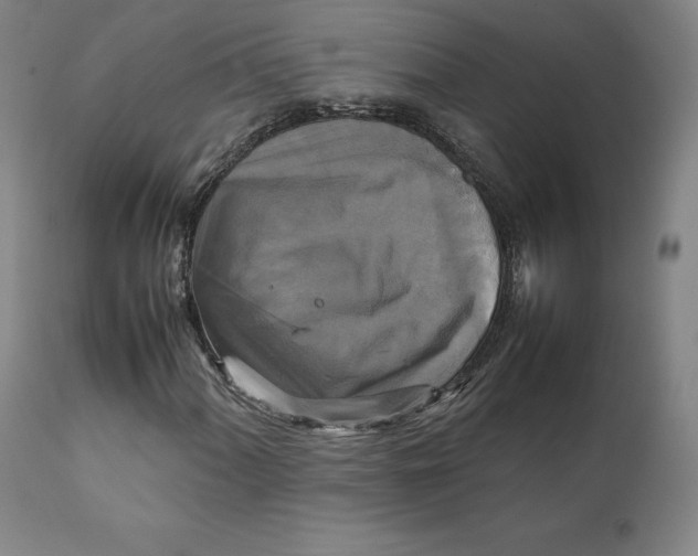 X0000111231060200907231459