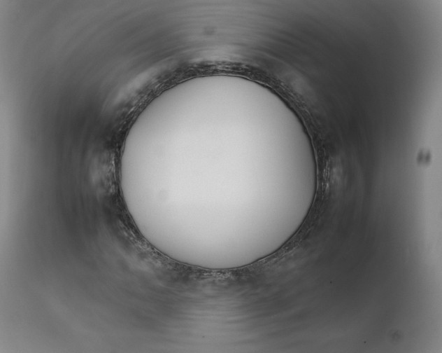 X0000111231062200907231459