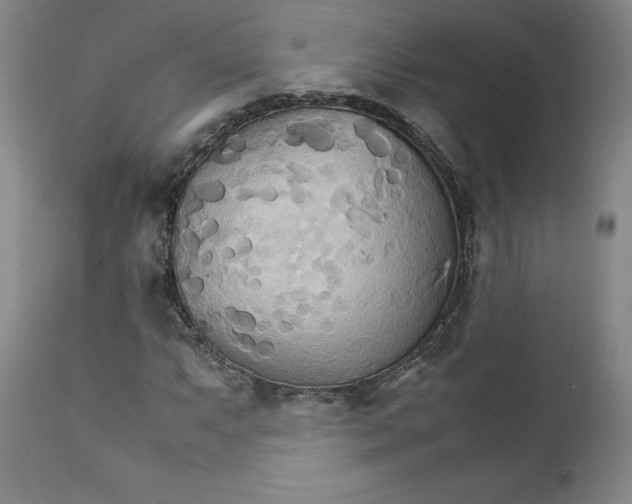 X0000111231063200907231459
