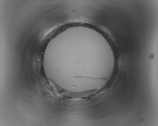 X0000111231064200907231459