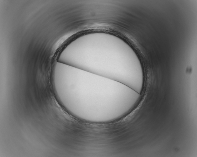 X0000111231066200907231459