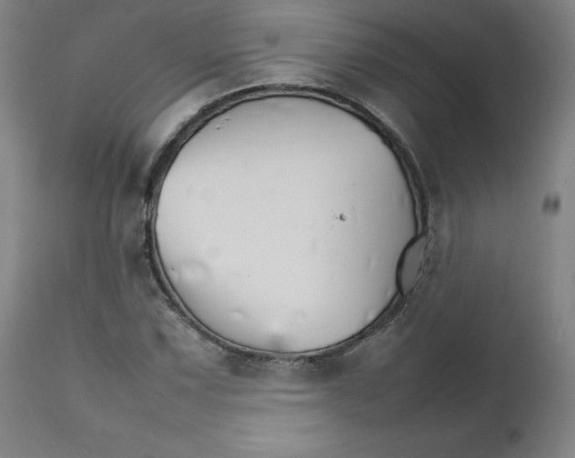 X0000111231067200907231459