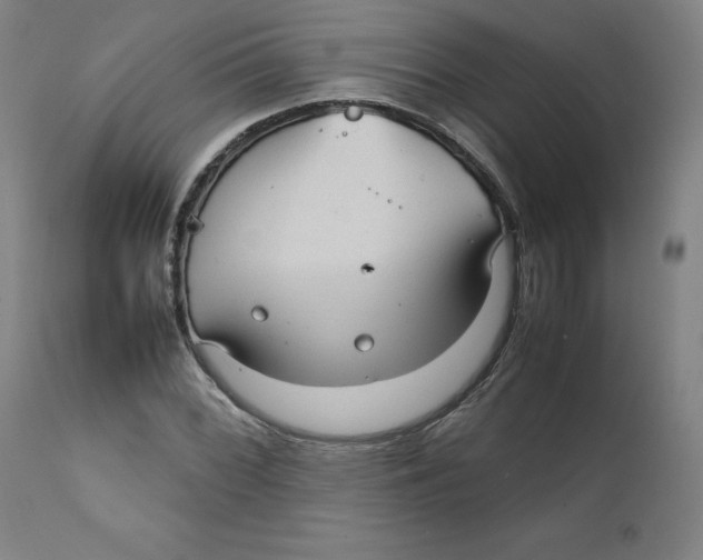 X0000111231068200907231459