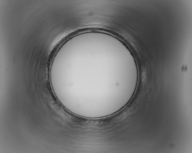 X0000111231069200907231459