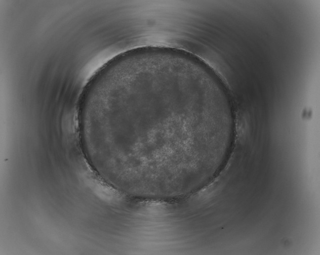 X0000111231070200907231459