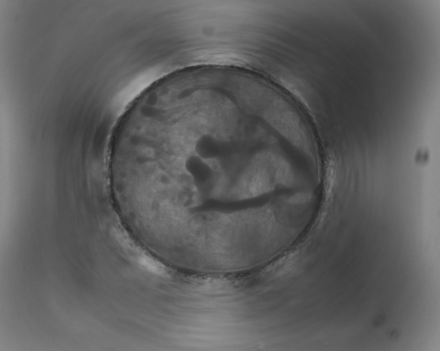 X0000111231071200907231459