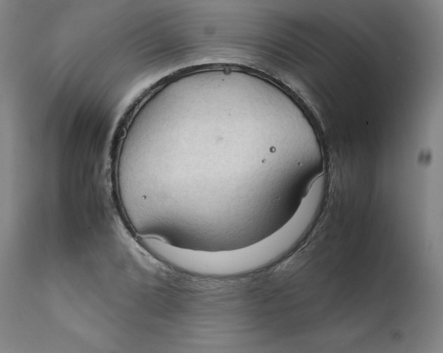 X0000111231072200907231459