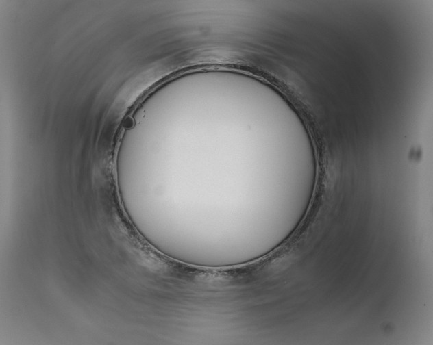 X0000111231073200907231459