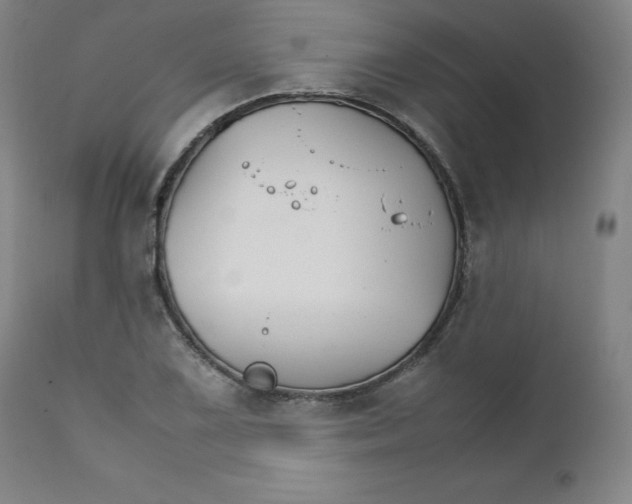 X0000111231075200907231459