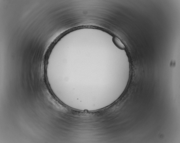 X0000111231076200907231459