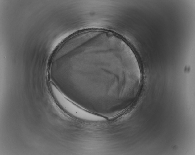 X0000111231077200907231459