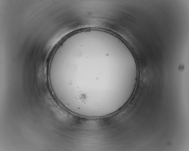 X0000111231078200907231459