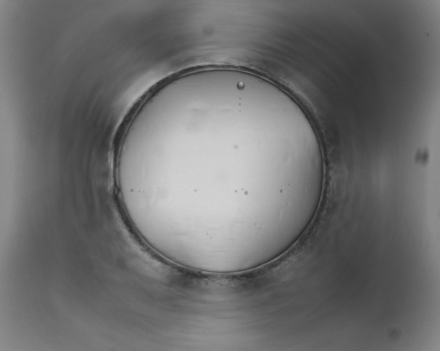 X0000111231079200907231459