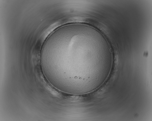 X0000111231081200907231459