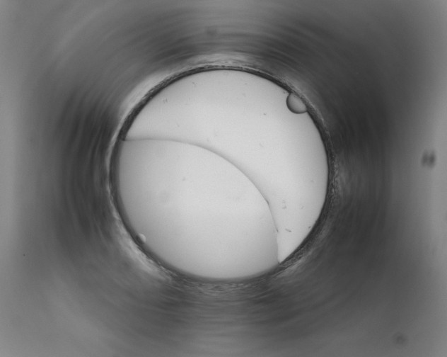 X0000111231082200907231459