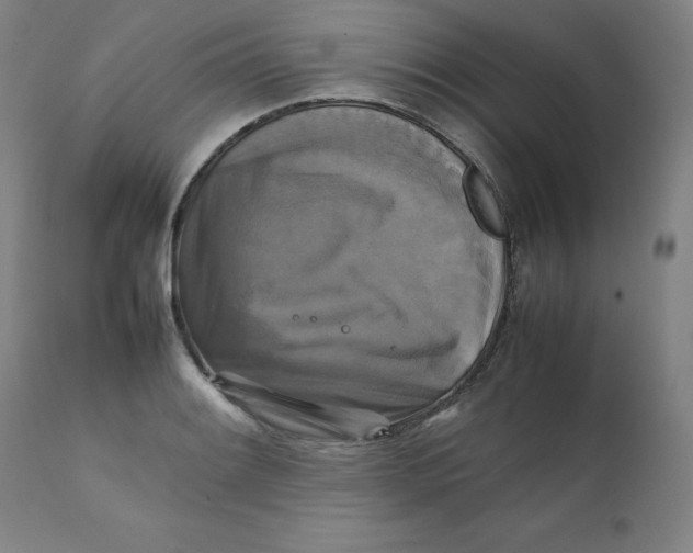 X0000111231084200907231459