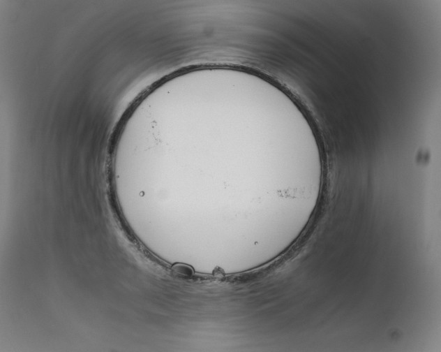 X0000111231085200907231458