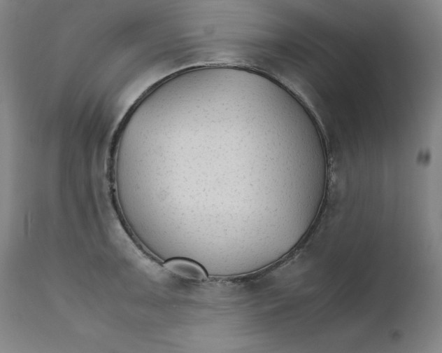 X0000111231091200907231458