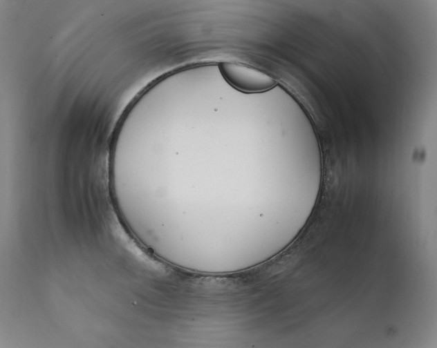 X0000111231092200907231458