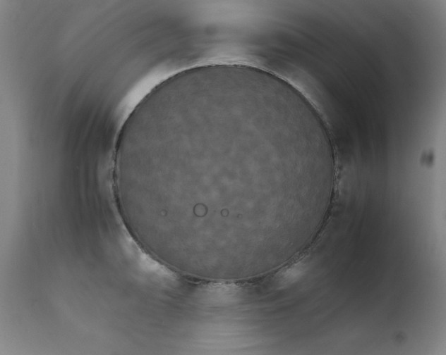 X0000111231094200907231458