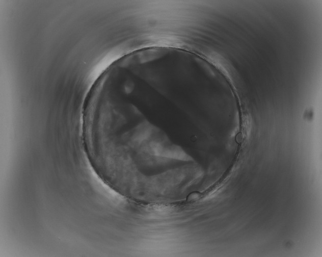 X0000111231095200907231458