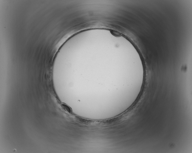 X0000111231097200907231458