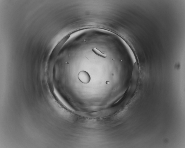 X0000111231098200907231458