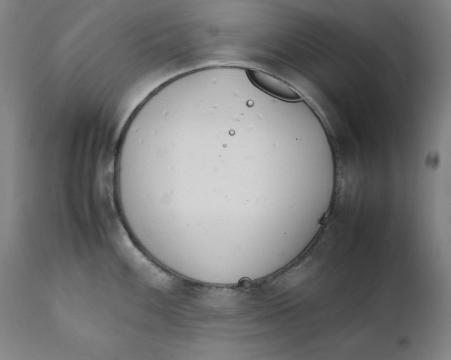 X0000111231100200907231458